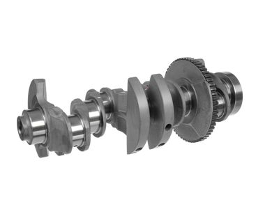 ARBORE COTIT ET ENGINETEAM HK0216 28