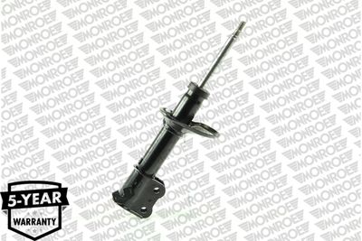 Shock Absorber G16646