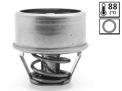 TERMOSTAT LICHID RACIRE