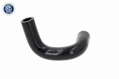 LADELUFTSCHLAUCH VAICO V402319 10