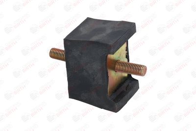 SUPORT MOTOR BIRTH 5918 3