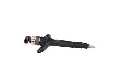 INJECTOR REMANTE 002003001986R 47