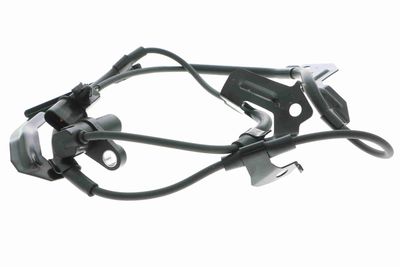 SENZOR TURATIE ROATA