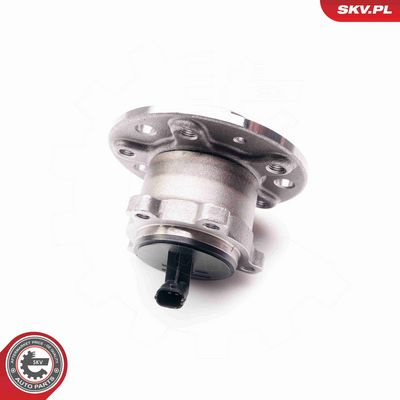 SET RULMENT ROATA ESEN SKV 29SKV023 2