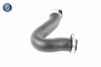 LADELUFTSCHLAUCH VAICO V103782 7