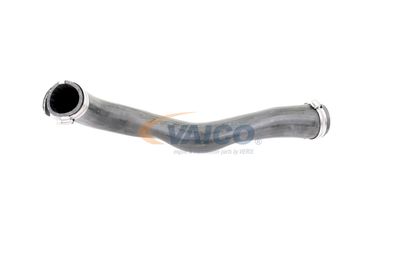 LADELUFTSCHLAUCH VAICO V103817 57