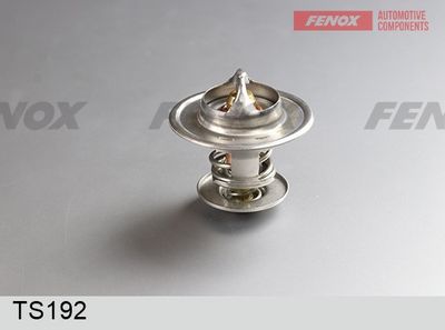 термостат, охладителна течност FENOX TS192