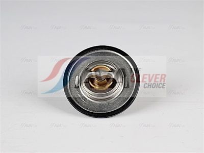 TERMOSTAT LICHID RACIRE