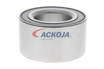 SET RULMENT ROATA ACKOJA A320020 16