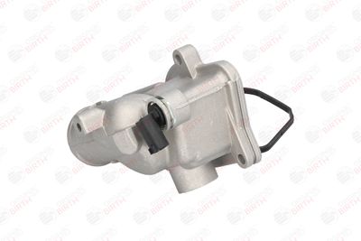 FLANSA LICHID RACIRE BIRTH 80192 3