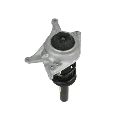 AMORTIZOR Arnott SK3842 61