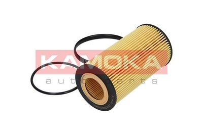 Oil Filter F115101