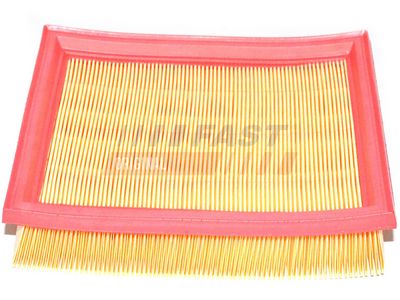 FAST Oro filtras