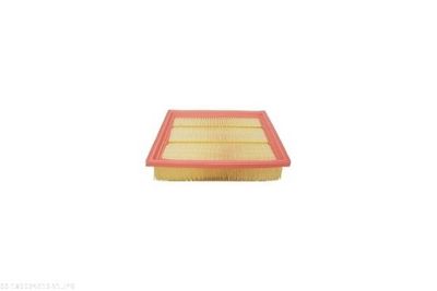 FILTRU AER AUTOMEGA 180024910 2