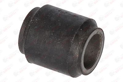 BUCSA ARBORE DE DIRECTIE BIRTH 4738 11