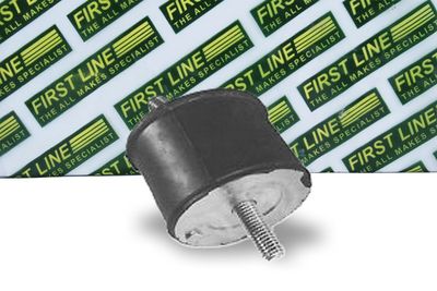 окачване, двигател FIRST LINE FEM3421