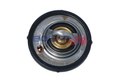 TERMOSTAT LICHID RACIRE