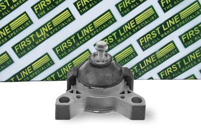 окачване, двигател FIRST LINE FEM4279