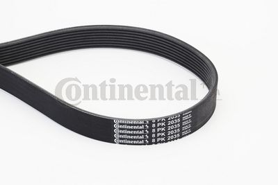 Pasek klinowy wielorowkowy CONTINENTAL CTAM 8PK2035