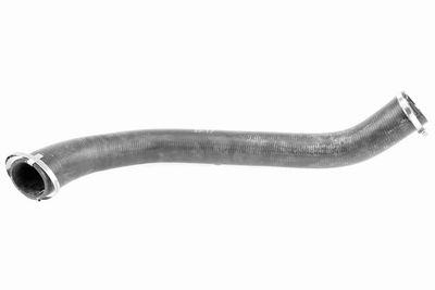 FURTUN EAR SUPRAALIMENTARE