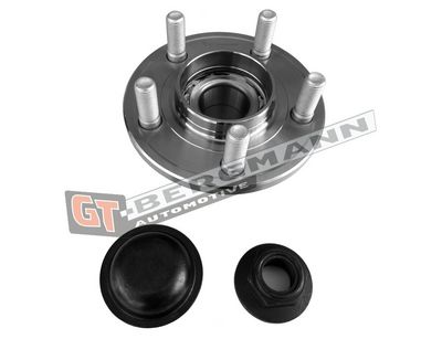 GT-BERGMANN Automotive Rato guolio komplektas