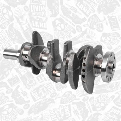 ARBORE COTIT ET ENGINETEAM HK0214 1