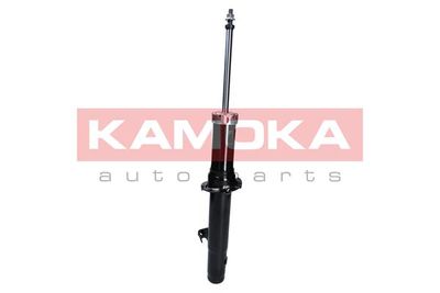 Shock Absorber 2000716