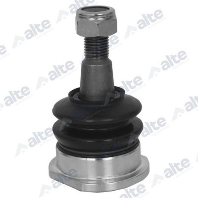 ARTICULATIE SARCINA/GHIDARE