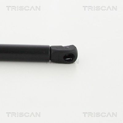 Amortizor portbagaj TRISCAN 8710 40241