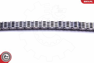 Timing Chain Kit 21SKV191