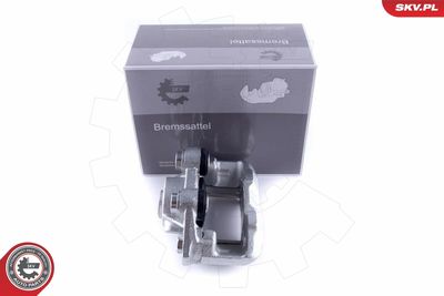 Brake Caliper 50SKV872