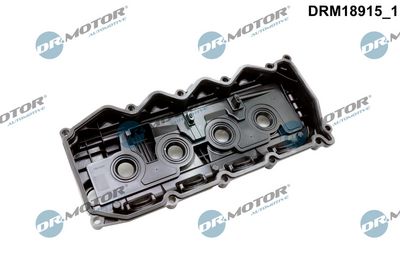Kryt hlavy válce DR.MOTOR DRM18915