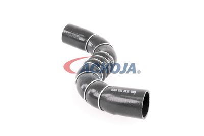 FURTUN EAR SUPRAALIMENTARE ACKOJA A389602 45