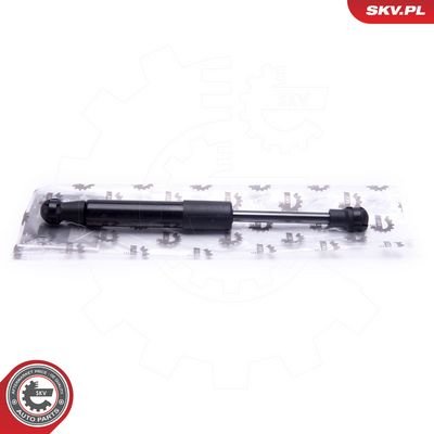 Dujinė spyruoklė, bagažinė