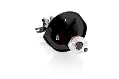 AMORTIZOR GH GH325058H 21