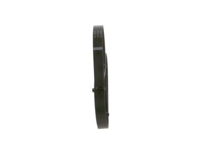 V-Ribbed Belt 1 987 947 946