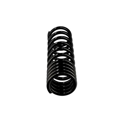 ARC SPIRAL EIBACH R10679 13