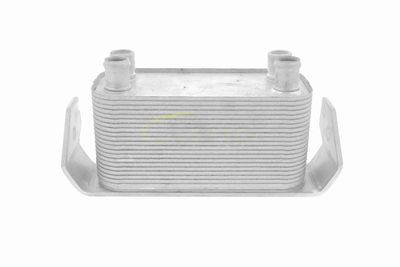 RADIATOR ULEI ULEI MOTOR VEMO V48600030 1
