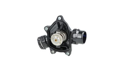 TERMOSTAT LICHID RACIRE NRF 725052 19