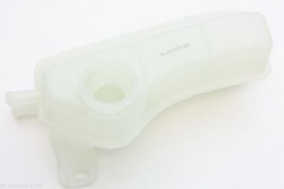 VAS DE EXPANSIUNE RACIRE