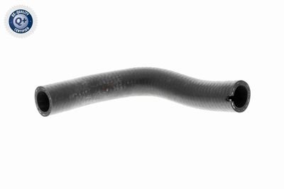 FURTUN EAR SUPRAALIMENTARE VAICO V240728 1