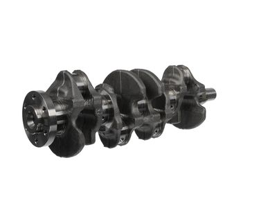 ARBORE COTIT ET ENGINETEAM HK0237 26