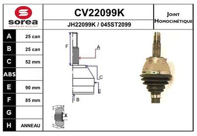 SET ARTICULATIE PLANETARA EAI CV22099K