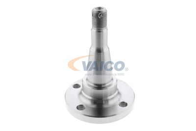 BUTUC ROATA CORP AXA VAICO V400793 38