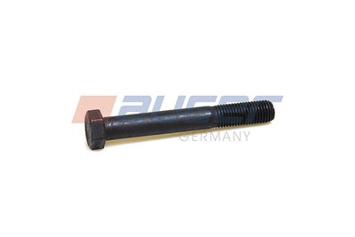 Veerbout M16x2 (lengte bouten 120mm)