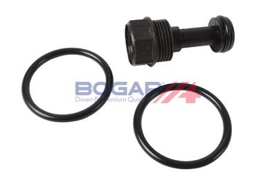 RADIATOR RACIRE MOTOR BOGAP B4210273 5