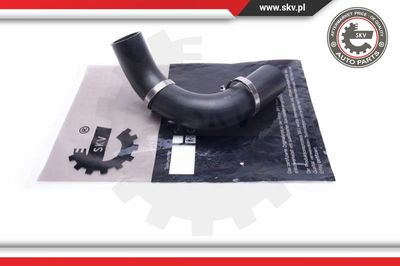 ESEN SKV 54SKV055 Турбина  для RENAULT MEGANE II (BM0/1_, CM0/1_) 2.0 dCi