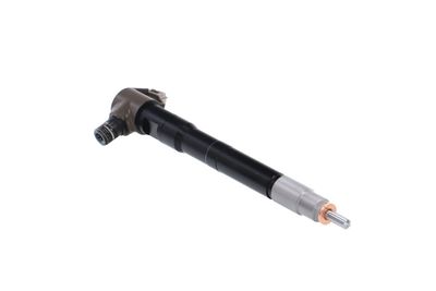 INJECTOR REMANTE 002003002077R 49