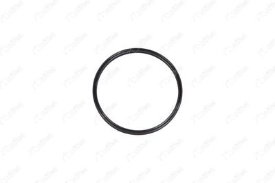 Bague d'étanchéité, gaine de suralimentation OE