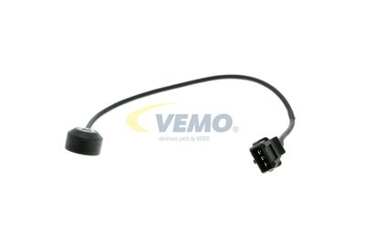 SENOR BATAI VEMO V24720074 13